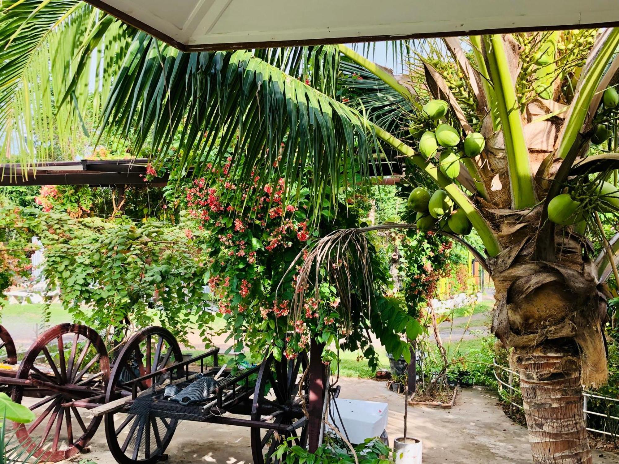Baan Thung Home Stay Prasat Exteriör bild