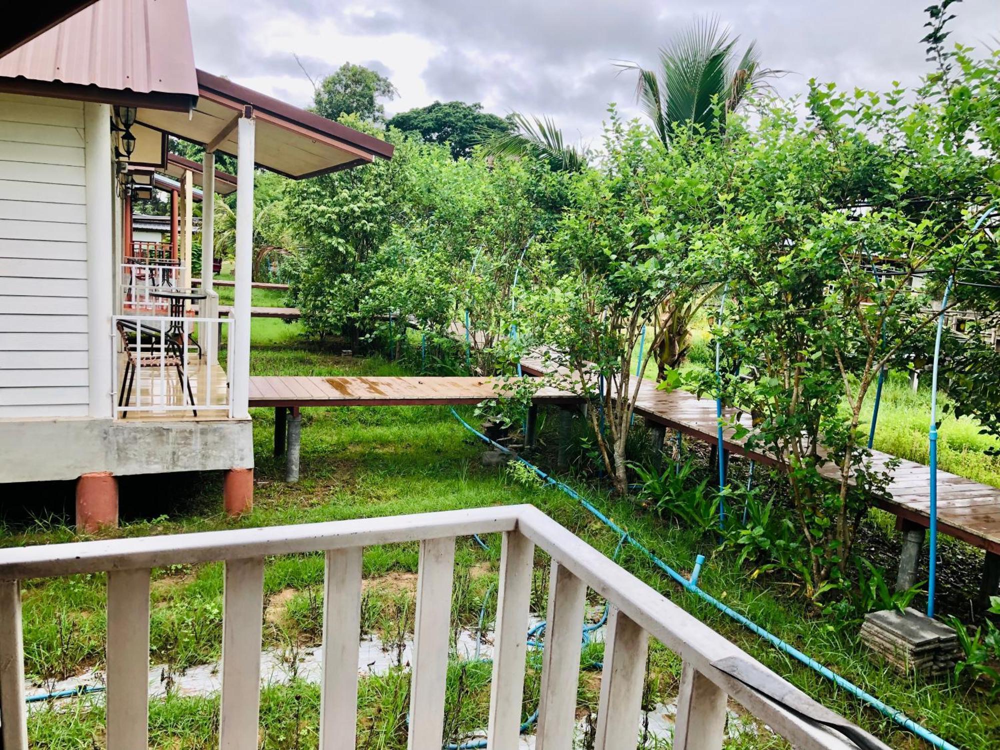 Baan Thung Home Stay Prasat Exteriör bild