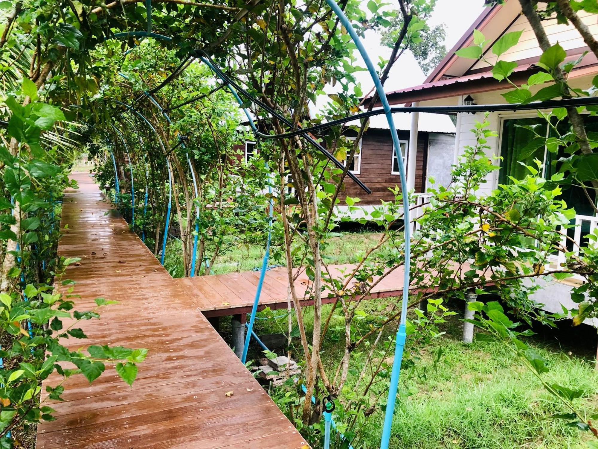 Baan Thung Home Stay Prasat Exteriör bild
