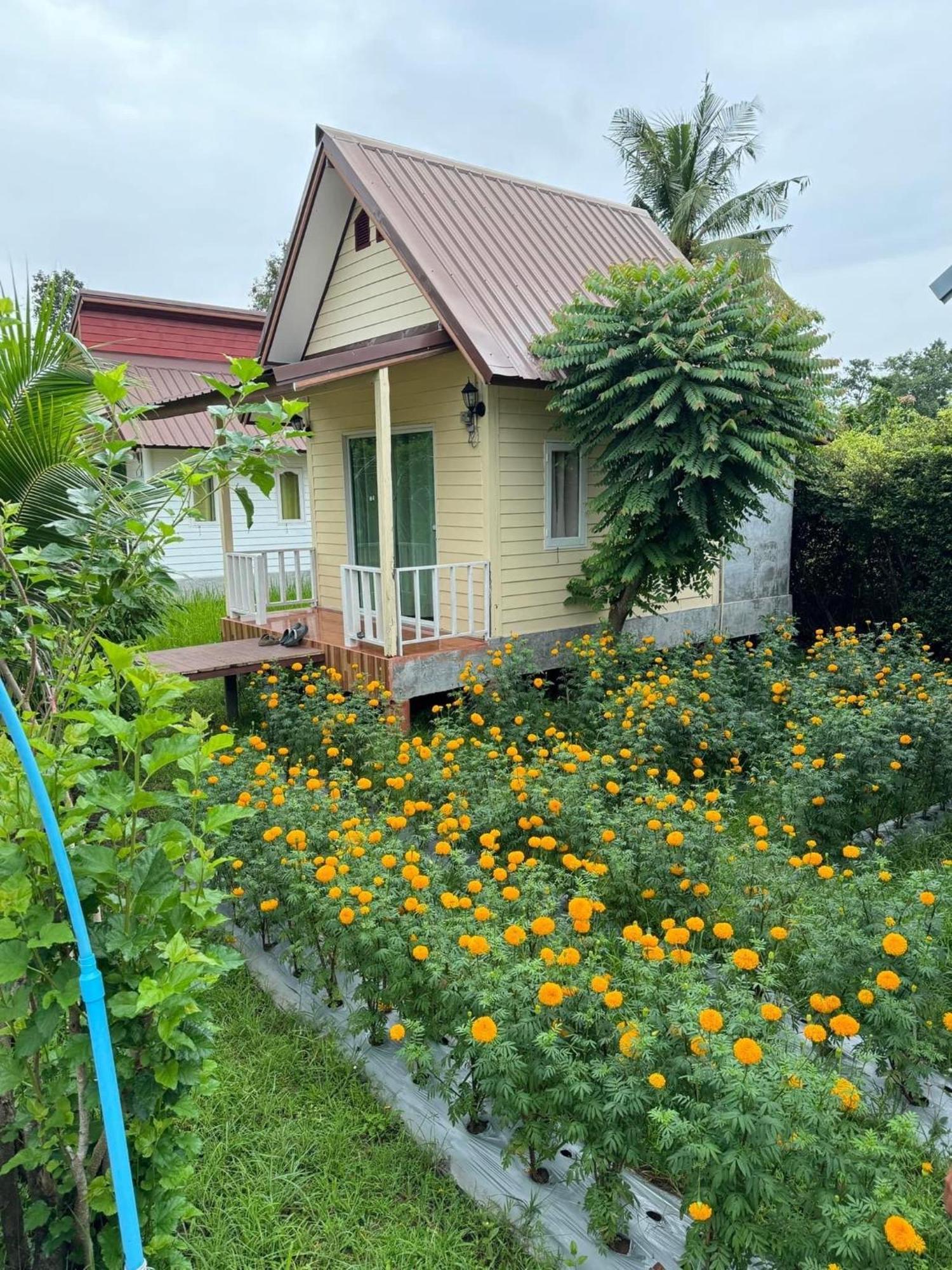 Baan Thung Home Stay Prasat Exteriör bild