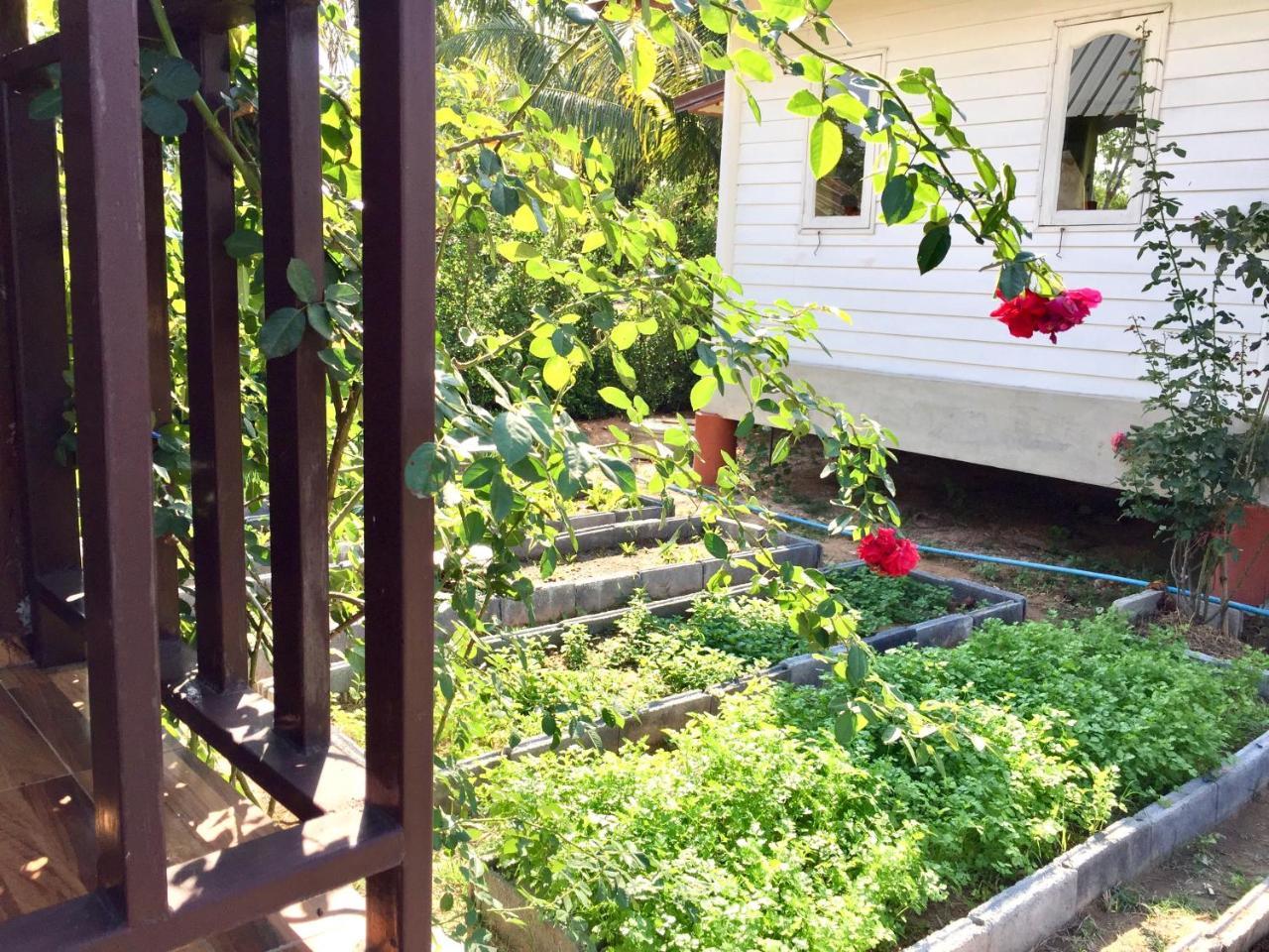 Baan Thung Home Stay Prasat Exteriör bild