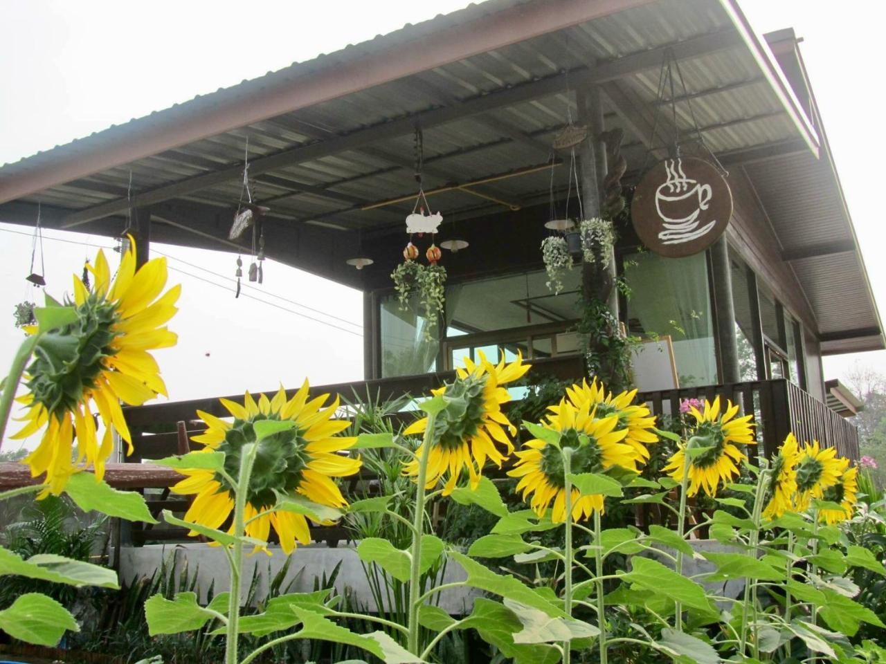 Baan Thung Home Stay Prasat Exteriör bild