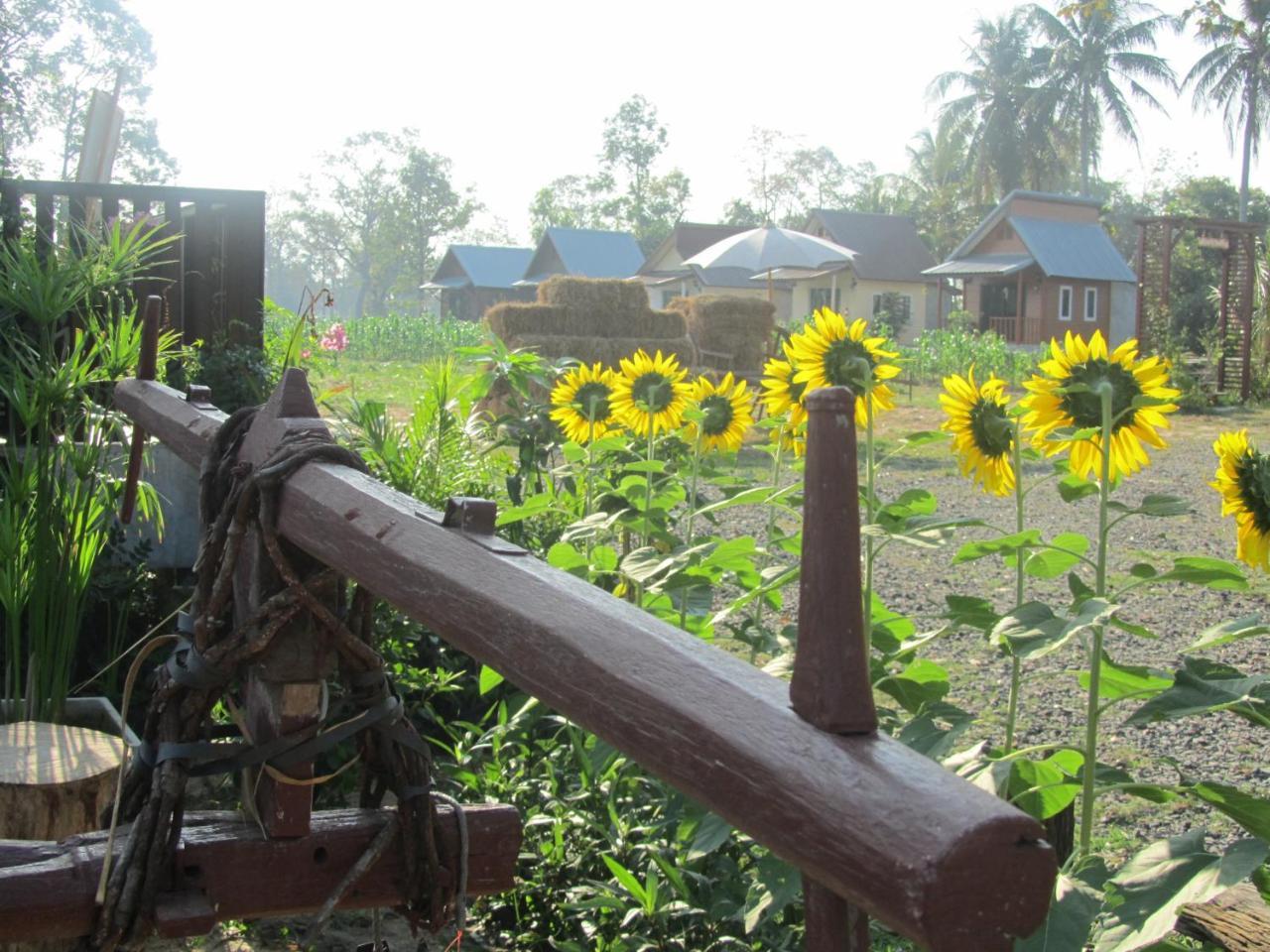 Baan Thung Home Stay Prasat Exteriör bild