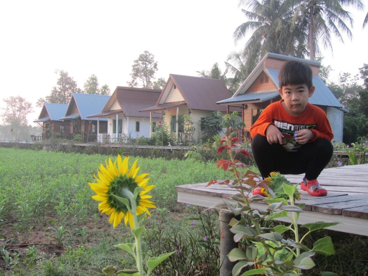 Baan Thung Home Stay Prasat Exteriör bild