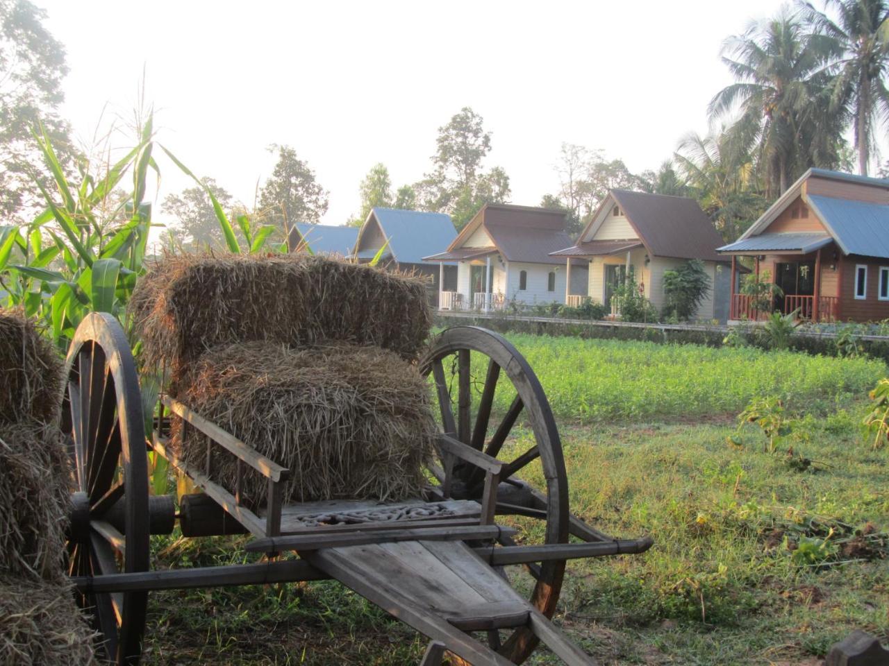 Baan Thung Home Stay Prasat Exteriör bild