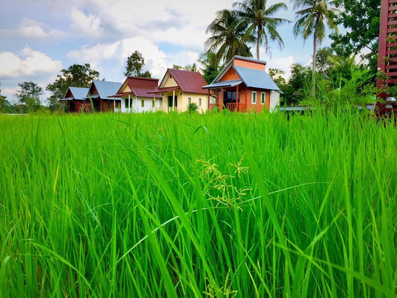 Baan Thung Home Stay Prasat Exteriör bild