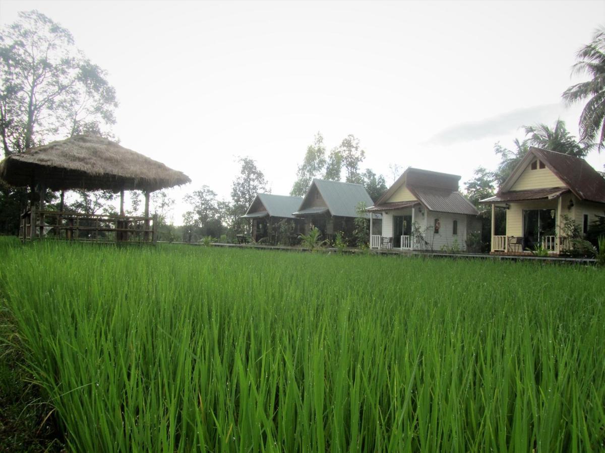 Baan Thung Home Stay Prasat Exteriör bild