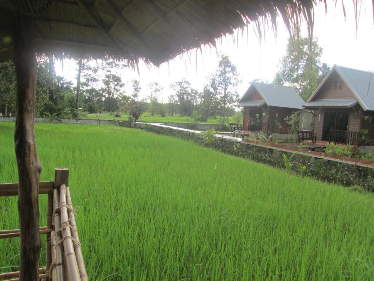 Baan Thung Home Stay Prasat Exteriör bild